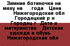 Зимние ботиночки на меху на 2-3 года › Цена ­ 350 - Нижегородская обл., Городецкий р-н, Городец г. Дети и материнство » Детская одежда и обувь   . Нижегородская обл.